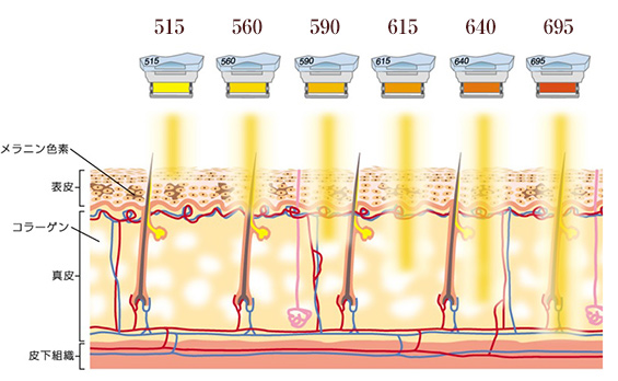 フィルター深達度