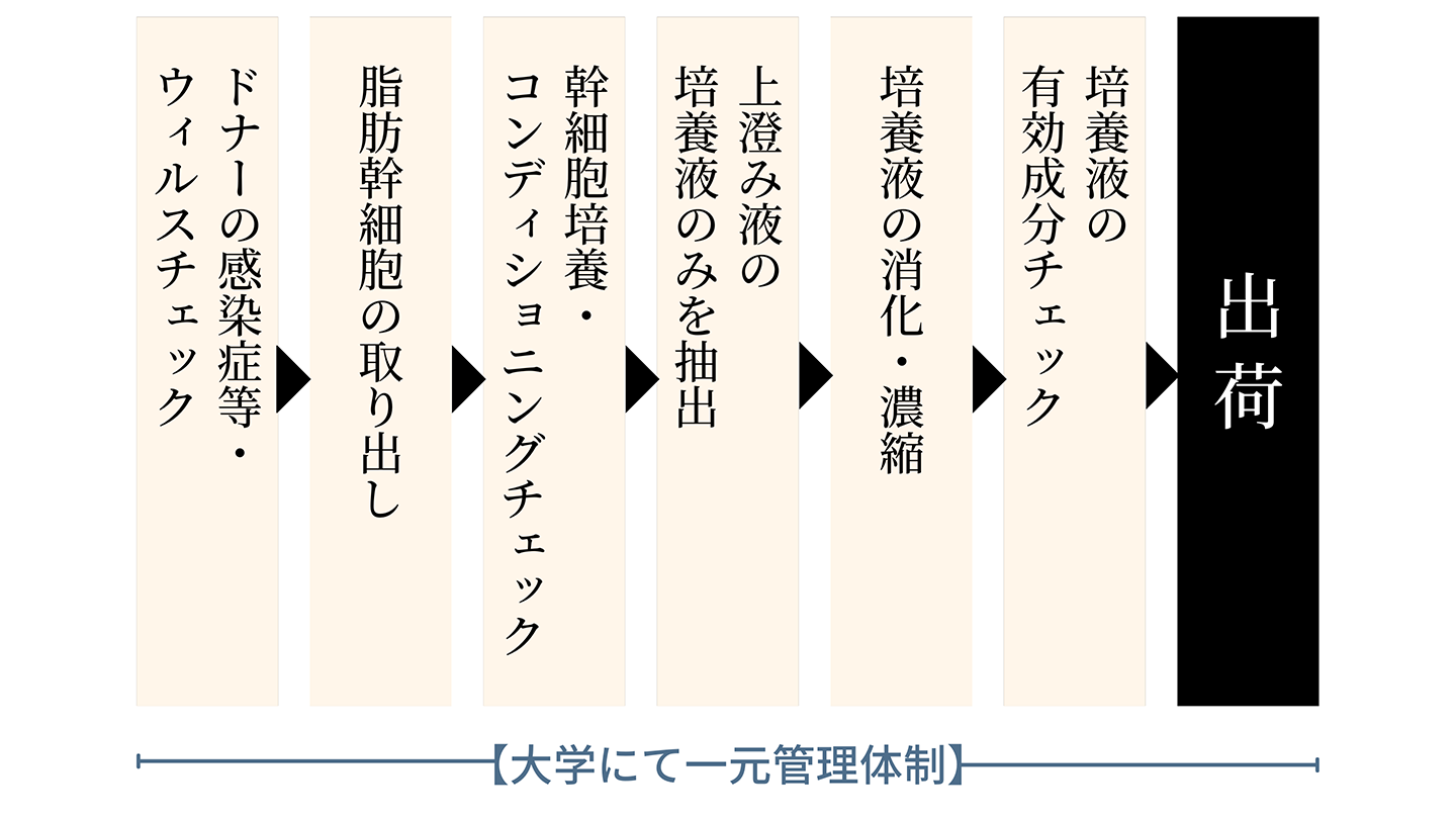 大学における一元管理体制